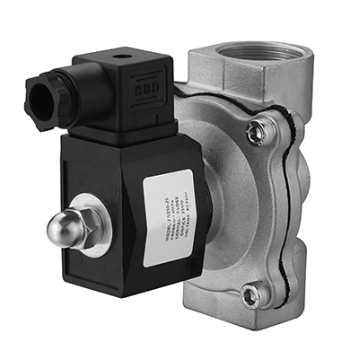 N2S250-25-110VAC