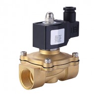 N2W250-25-24VDC