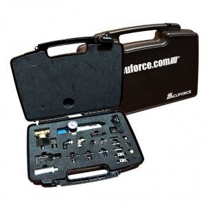 Sample Cases